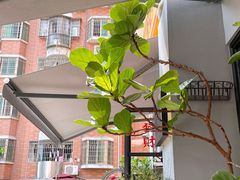 -转山咖啡(松柏社区店)