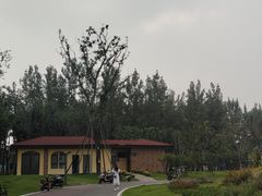 -府河摄影公园