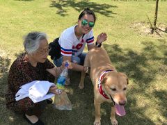 -上海长兴岛郊野公园