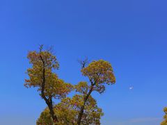 -苏州太湖国家湿地公园