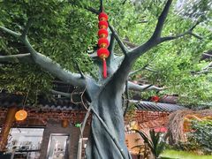 -扬之阿李菌汤火锅(1969店)