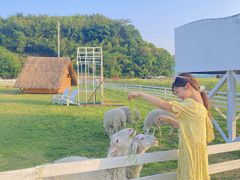 -溪口-滕头旅游景区