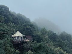 -龙岩森林水乡景区