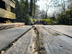 -杭州半山国家森林公园