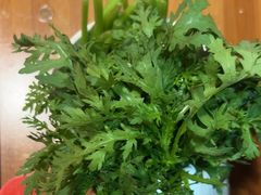 -芦月轩羊蝎子(劲松店)