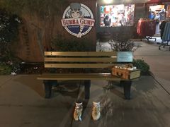 -Bubba Gump Shrimp