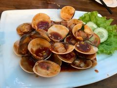 -Draft Beer Restaurant & Bar