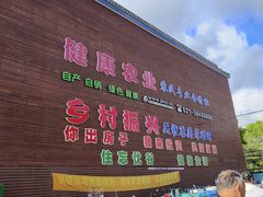 -陈家镇裕安农贸市场