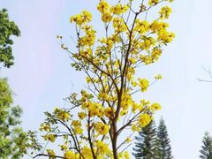 -广州珠江公园