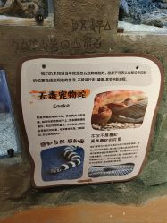 -奇幻萌宠部落(映月湖环宇城店)