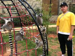 -灵玲国际马戏城