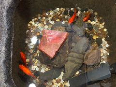 -龙华素斋(龙华路店)