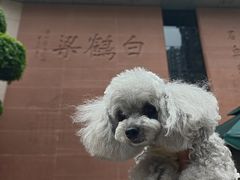 -白鹤梁水下博物馆