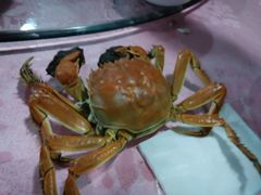 -顺悦酒家(嘉信城市广场店)