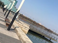 -苏州金鸡湖中茵皇冠假日酒店