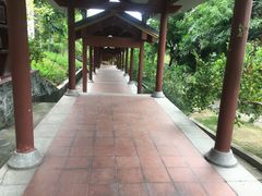 -广州神农草堂中医药博物馆
