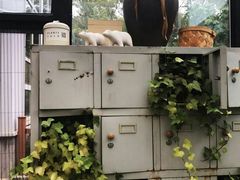 -北马山庄植趣咖啡