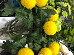 -吾生 My life花坊(复兴西路洋房店)