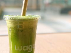 绿野仙踪-Wagas沃歌斯(环贸店)