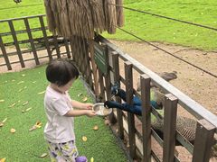 -深圳野生动物园