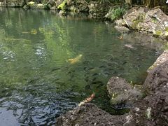 -海口火山口国家地质公园