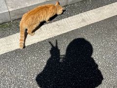 -1886德国汽车餐厅(外滩中央店)