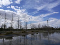 -上海长兴岛郊野公园