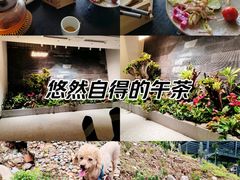 -火炉山森林公园