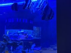 -上和臻品中国菜(花园街店)