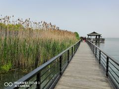 -莲花岛景区