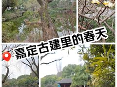 -秋霞圃