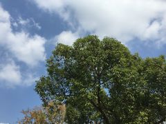 -九里河湿地公园