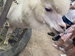-上海大自然野生昆虫馆(东方明珠·爬宠昆虫探索中心)
