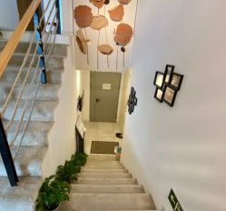 -酉嘉瑜伽YO+YOGA