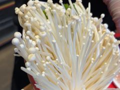 -蜀大侠火锅(香格里拉店)