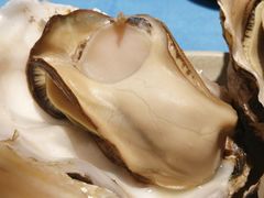 -千岛蚝高压锅生蚝·人参火锅(白云万达店)