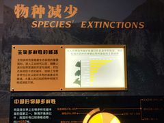 -广东科学中心