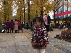 -百林公园-两江幸福广场