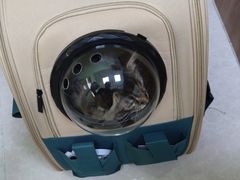 -瑞鹏宠物医院·骨科·猫科·内科(第一中心)