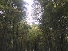-天目湖涵田半山温泉