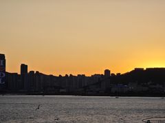 -星海广场
