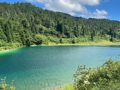 -武陵山森林公园