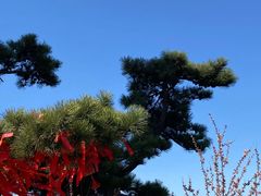 -天津盘山风景名胜区