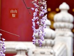 -北京国子监胡同