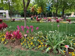 -石家庄市植物园
