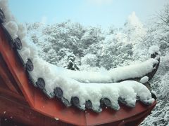 -西岭雪山大飞水景区