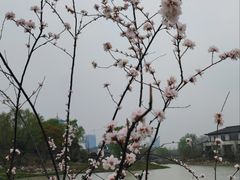 -西安世博园