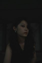 -IDOL-PLUS
