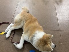 -YCHL Studios健身工作室(市二宫店)