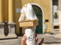 -柠檬车露(卖草地店)